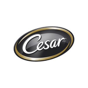 Cesar