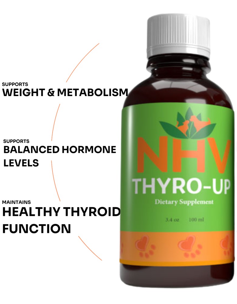 Nhv Thyro Up Supplement For Pets 100ml
