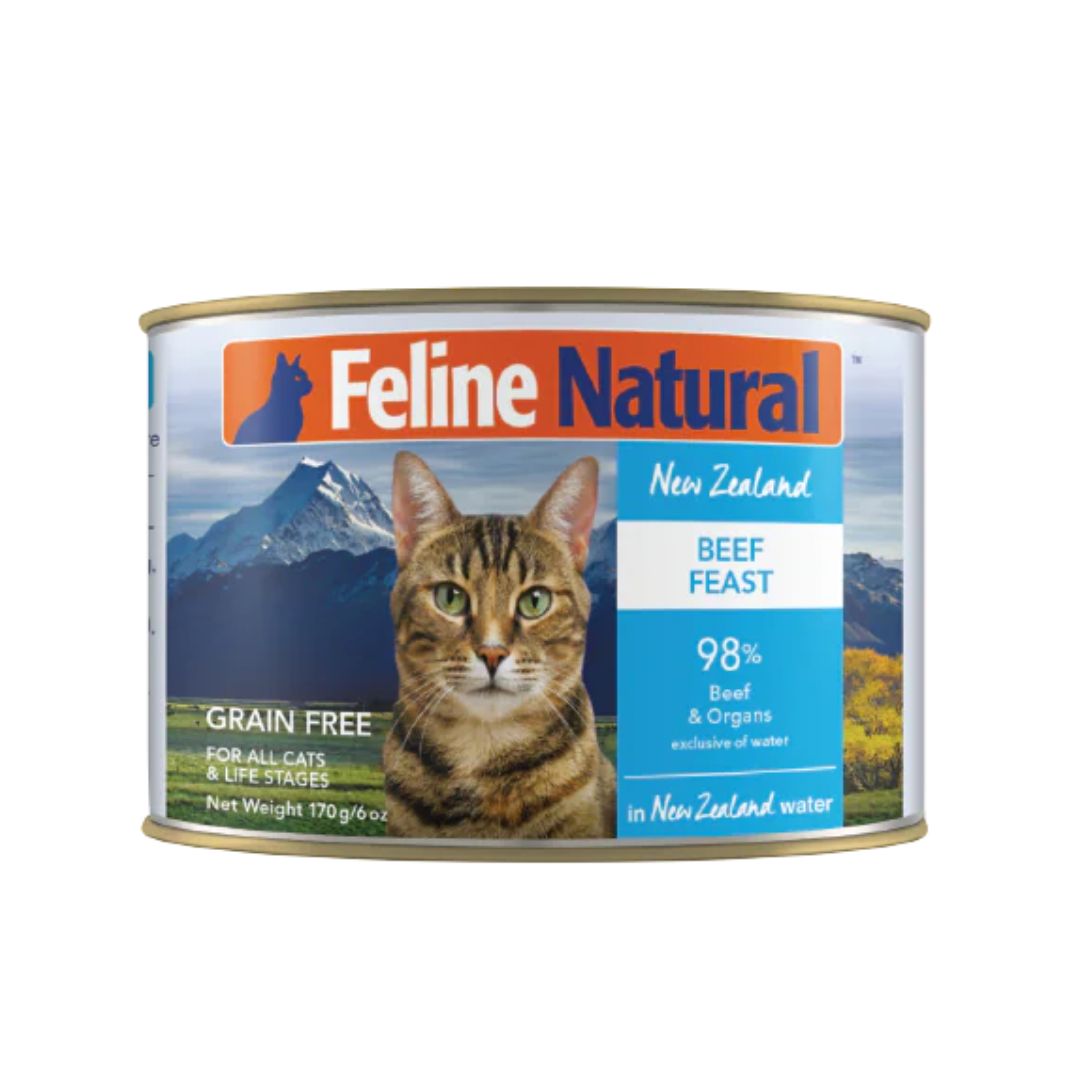 Feline Natural 170g Beef Feast Wet Cat Food