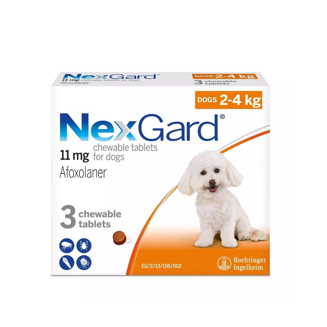 (exp: 1 Jul 2025) Nexgard Afoxolaner 11mg Chewable Tablets For Dogs 2-4kg 3 Tablets