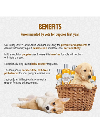 Puppy love shampoo online