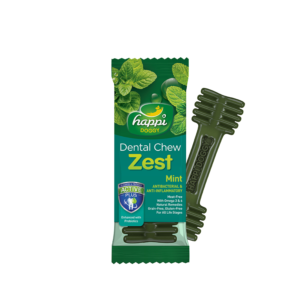 Happi Skippi Dog 25g Zest Regular 4-inch Mint Dental Chew Dog Treat