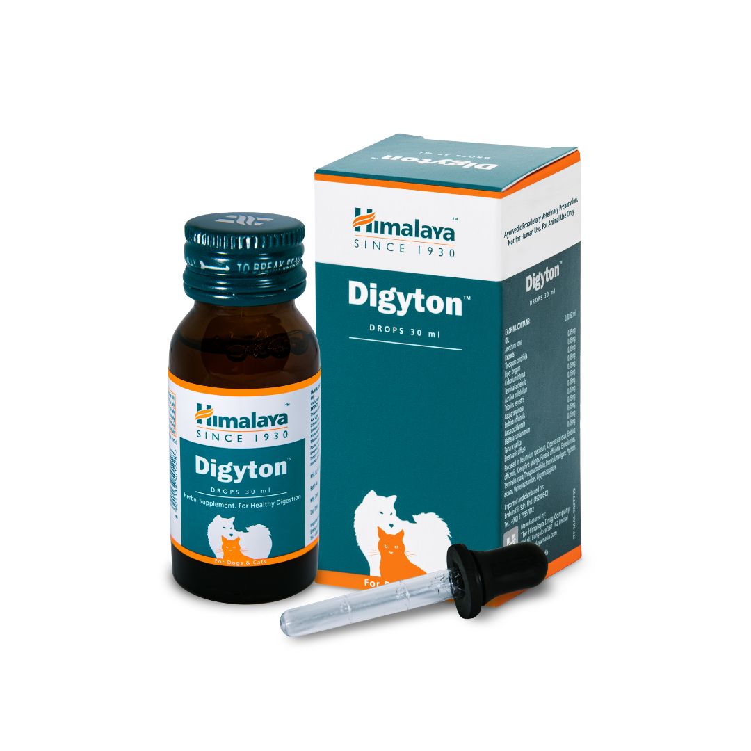 Himalaya Digyton Drops 30ml (digestion) For Dogs And Cats