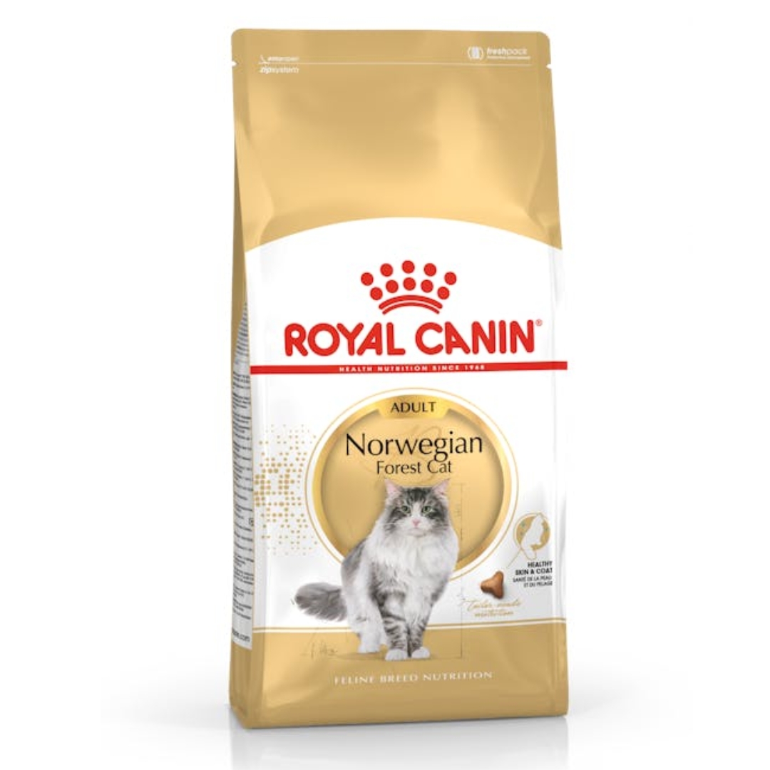 Royal Canin Cat 2kg Adult Norwegian Forest Dry Cat Food