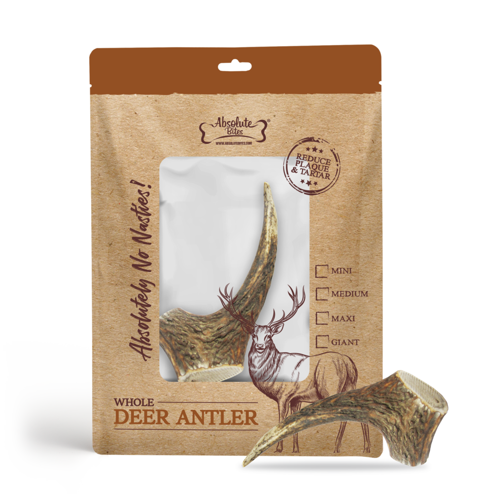 Absolute Bites Dog Maxi Whole Deer Antlers Dental Chew Dog Treat