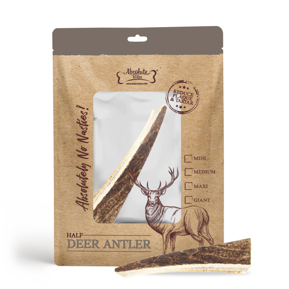 Absolute Bites Dog Maxi Half Deer Antlers Dental Chew Dog Treat