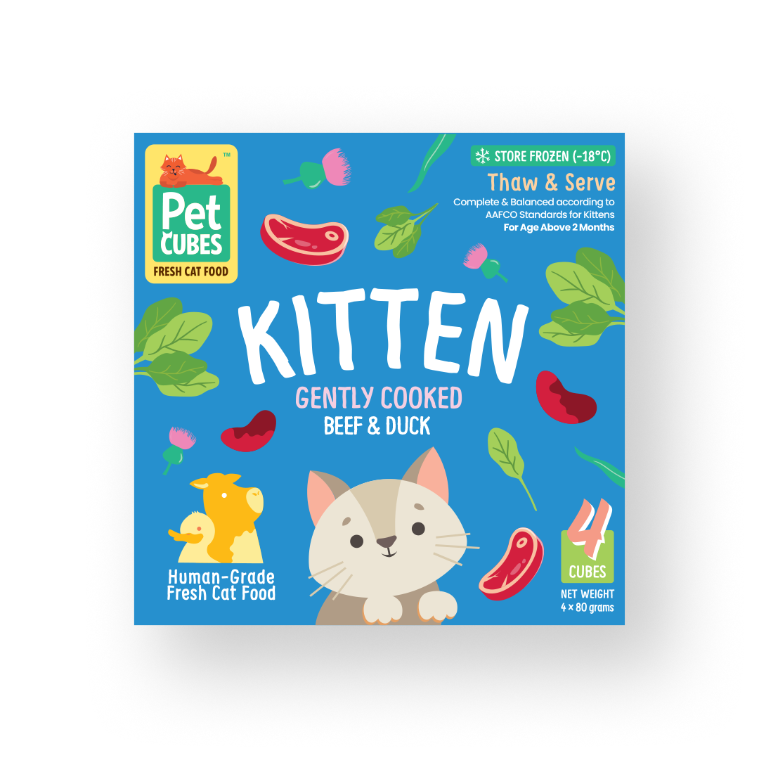 Pet Cubes Cat 4x80g Gently Cooked Beef & Duck For Kittens Fresh Cat Food
