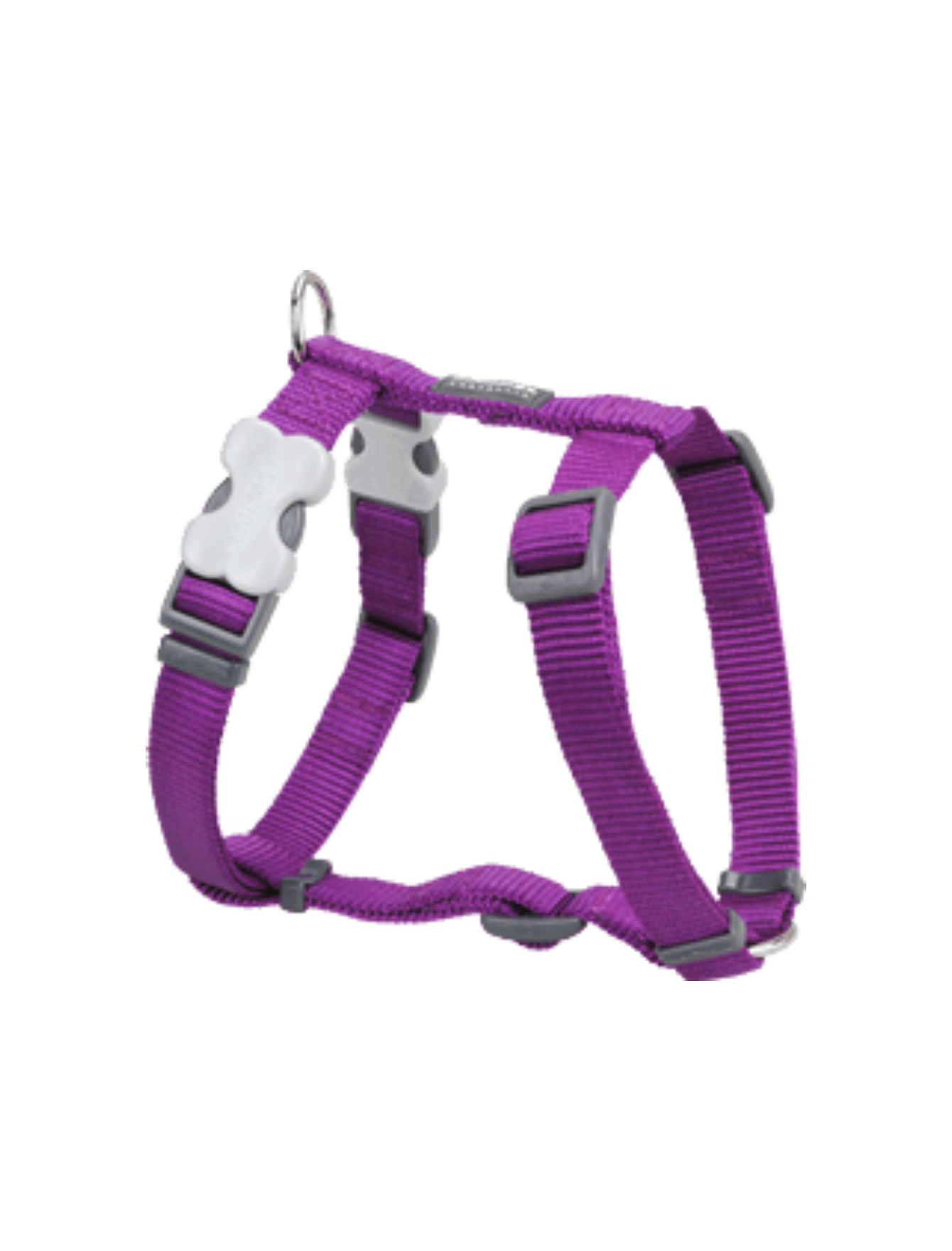Red Dingo Classic Harness - Purple 20mm