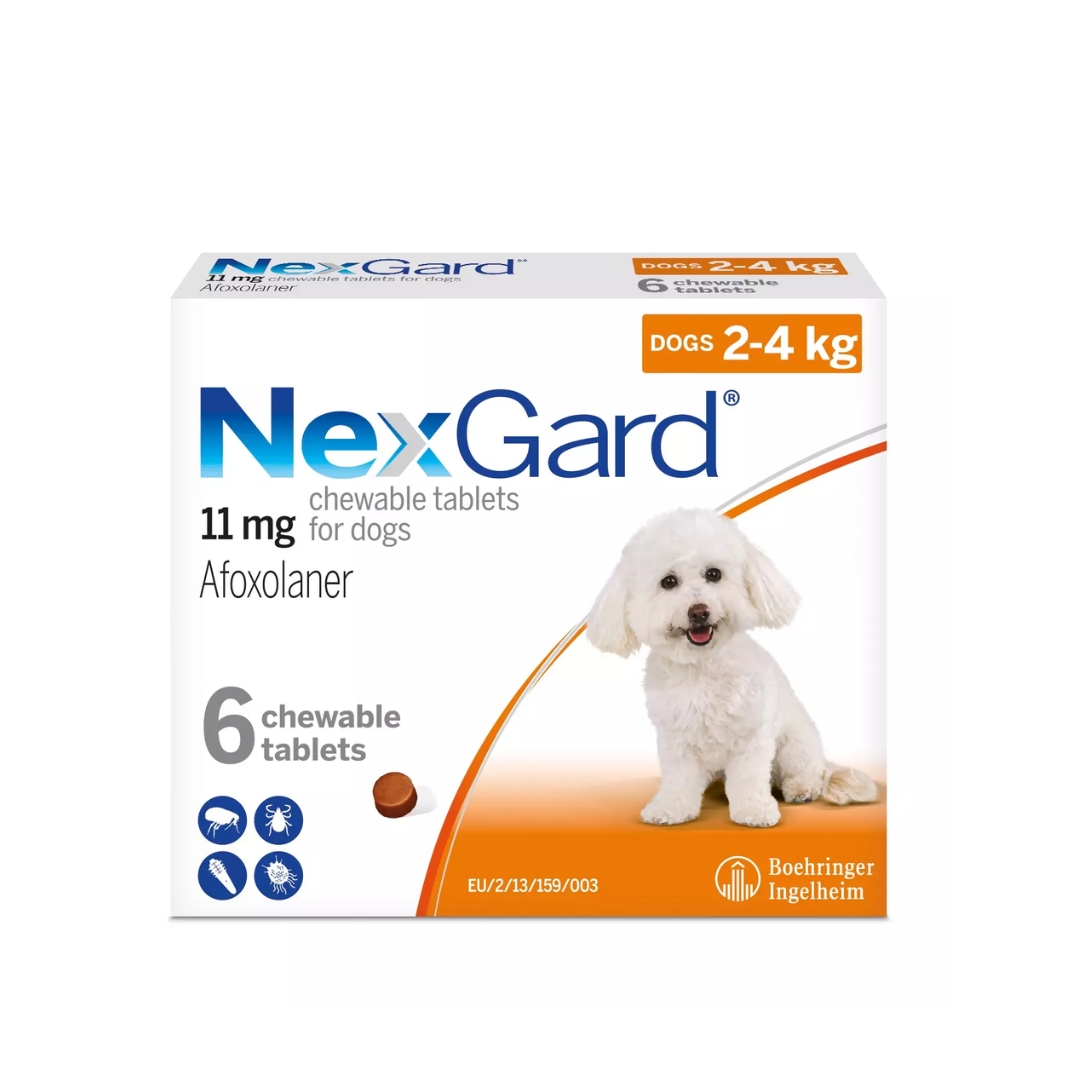 Nexgard Afoxolaner 11mg Chewable Tablets For Dogs 2-4kg 6 Tablets